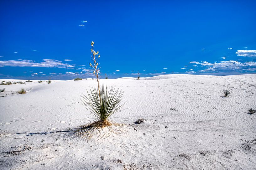 White sands national park by Marcel Wagenaar