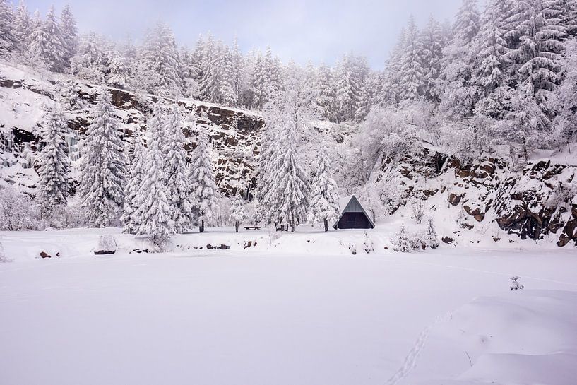Cross-country skiing in the snowy Thuringian Forest near Floh-Seligenthal - Thuringia - Germany by Oliver Hlavaty