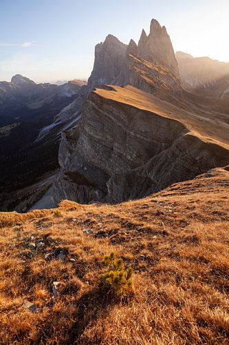 Un matin d'automne au sommet du Seceda