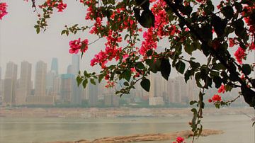 Yangtze Rivier Poëzie 2
