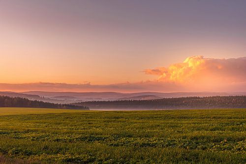 Schöner orangefarbener Sonnenuntergang über einer Waldlandschaft