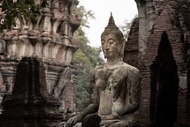 Stille Weisheit zwischen alten Ruinen – Buddha von Manu Terrones