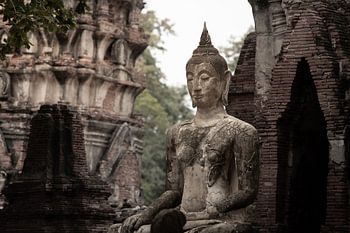 Stille Wijsheid tussen Oude Ruïnes - Buddha