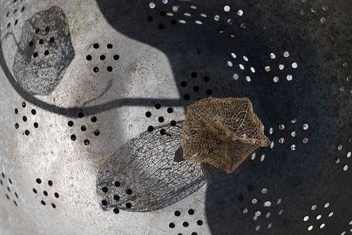 Composition in old colander