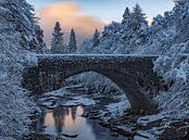 Highlands Bridge, Rob Darby van 1x thumbnail