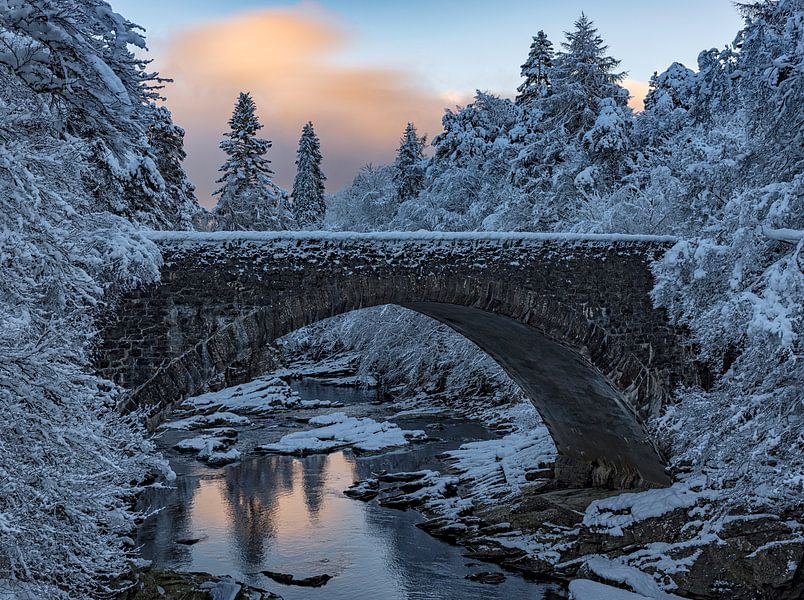 Highlands Bridge, Rob Darby van 1x