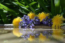 Een boeket bloemen in de tuin van Claude Laprise