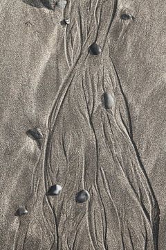 Feine Fließstrukturen im Sand von Jan Schuler
