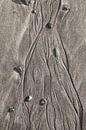 Fijne stromingsstructuren in het zand van Jan Schuler thumbnail