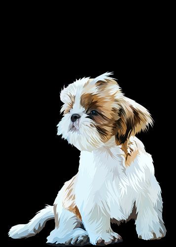 Shih tzu vector