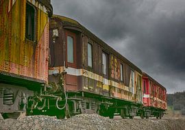 Verlaten treinstel von Michelle Peeters