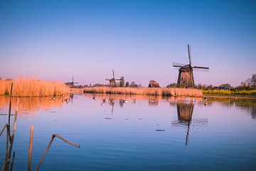 Molen van Tiny Dekker