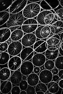 Monochrome Bike Wheel by Tom Derwort Photography
