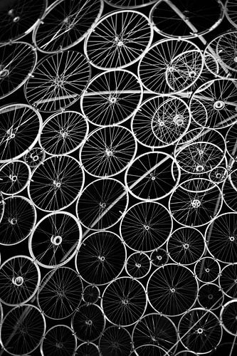 Roue de vélo monochrome