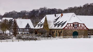 Snowy Altefeld van Roland Brack