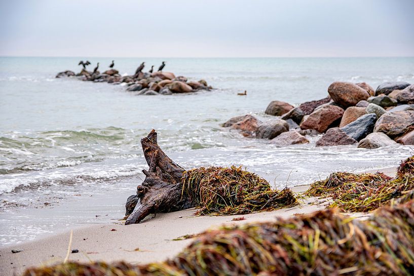 Baltic Sea beach in Dahme III by SPUTNIKeins fotografie