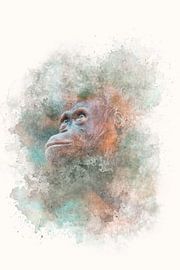 Portrait of a orang-utan, person of the jungle - Photography & Art by - GreenGraffy -