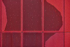 Forme du corps sur Jenco van Zalk