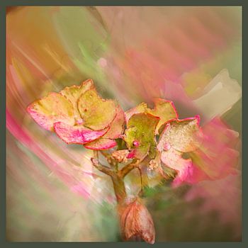 Romantisch roze & groen