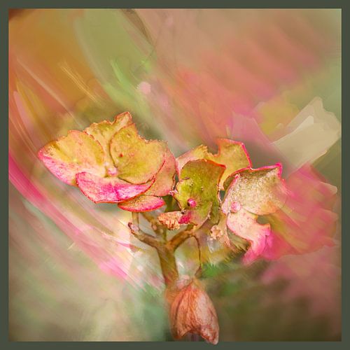 Romantic pink & green