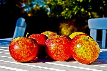 La récolte des pommes sur Norbert Sülzner