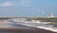 Aan de Zeeuwse kust