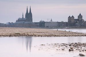 Niedrigwasser am Rhein in Köln