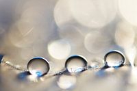 Water magic
