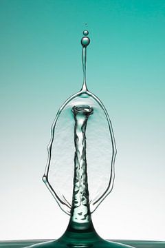 Drops of water (8) van Danielle van Doorn