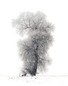Winterbaum von Anneliese Grünwald-Märkl
