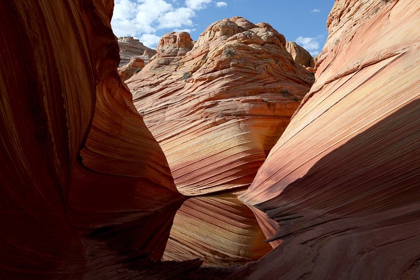Rock formations in the North Coyote Buttes, part of Vermilion Cliffs National Monument. This area is by Frank Fichtmüller
