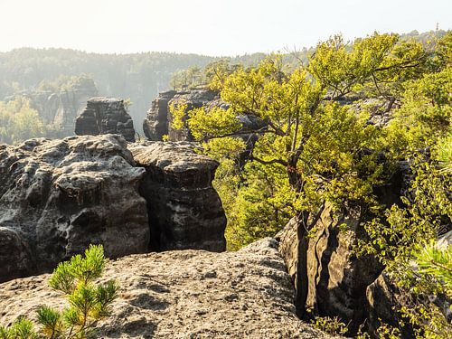 Bärenhorn uitzicht, Saksisch Zwitserland - Kleine Bärenhorn