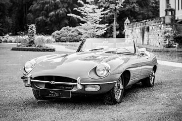 Jaguar E-Type Roadster sports car front view in black and white by Sjoerd van der Wal Photography