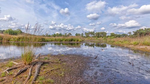Hatertse en Overasseltse Vennen