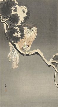 Falke mit Spatz von Ohara Koson