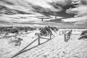 Strand von Tarifa am Meer in Andalusien / Spanien in schwarz-weiß