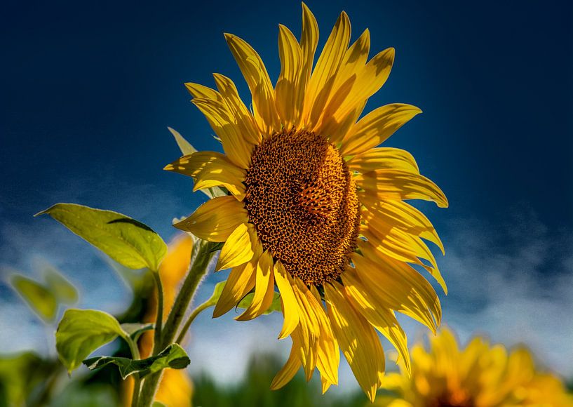 UKRAINE : Farben der Ukraine von Photoart-Naegele