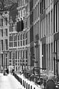 Op de slee over de Herengracht in Amsterdam van Suzan Baars thumbnail