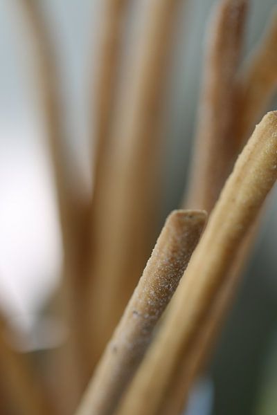 Stems by Bärbel Severens