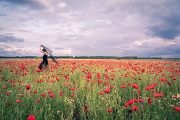 Dans in de bloemenweide van Marleen Schellekens