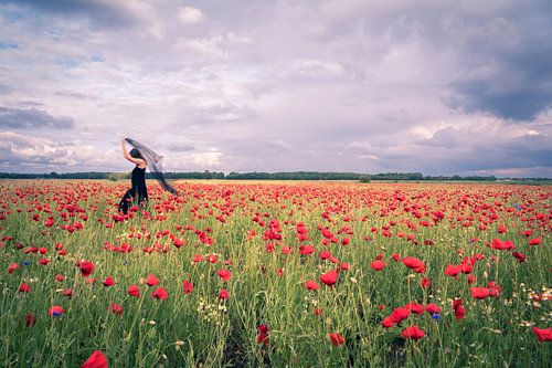 Tanz auf der Blumenwiese von Marleen Schellekens