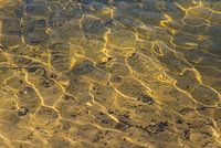 Reflecties van zonlicht in golvend water