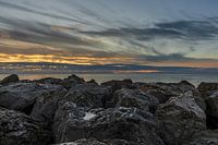 Rock in morning glory