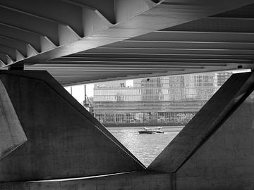 Rotterdam (doorkijk Erasmusbrug met watertaxi)