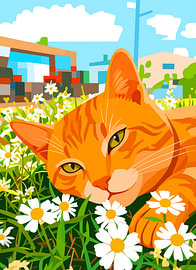 Orangefarbene Tabbykatze in Gänseblümchen von Karomah Project