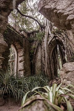 Überwachsene Ruine in Portugal