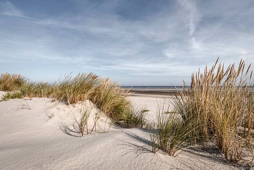 Wangerooge I