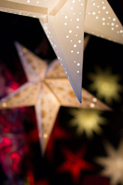 Christmas Stars by Perry Wiertz