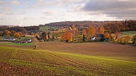 Herfst rond het Drielandenpunt