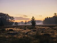 mist